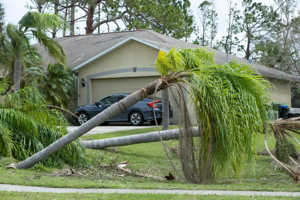 Preparing for Hurricane Season